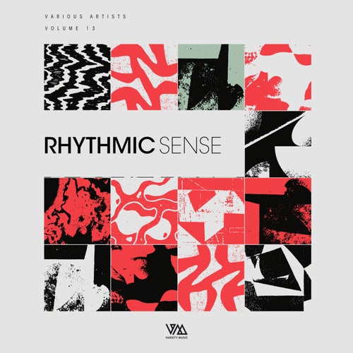 VA – Rhythmic Sense Vol. 13 [Variety Music]