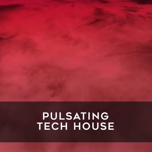 VA – Pulsating Tech House [Avocado Mango Soup]