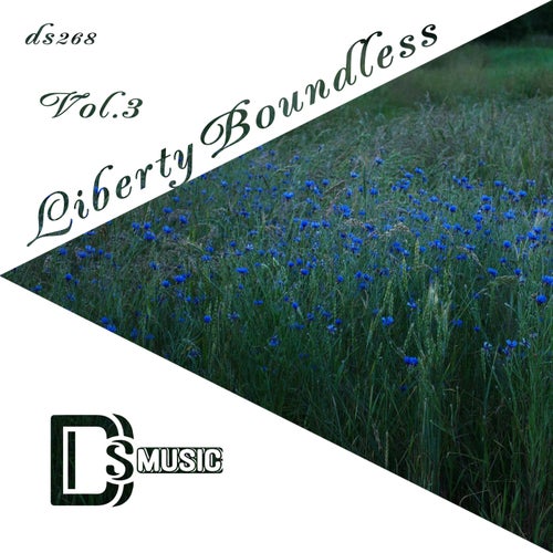 VA – Liberty Boundless, Vol. 3 [Different Styles Music]