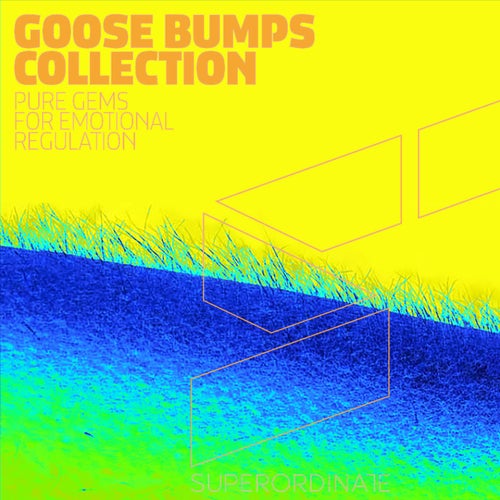 VA – Goose Bumps Collection, Vol. 12 SUPER638