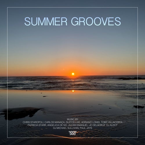 VA – Summer Grooves MAGNACDD023