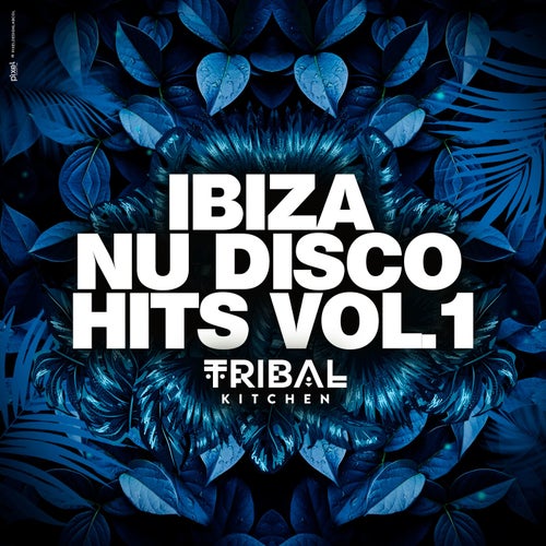 VA – Ibiza Nu Disco Hits Vol. 1 (Tribal Kitchen) TKC003