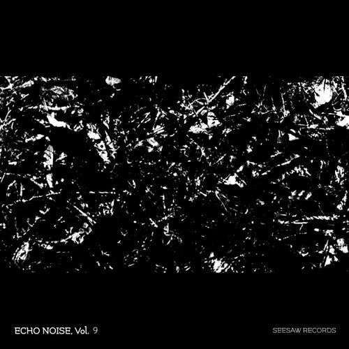 VA – Echo Noise, Vol. 9 [Seesaw Records]