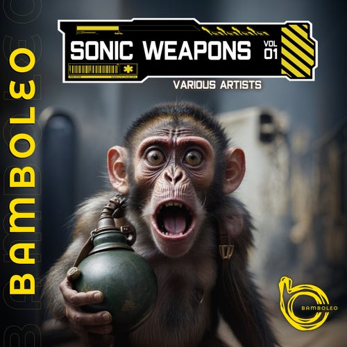 VA – Sonic Weapons, Vol. 1 BAM036