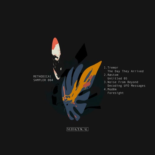 VA –  Methodical Sampler 004 [Methodical]