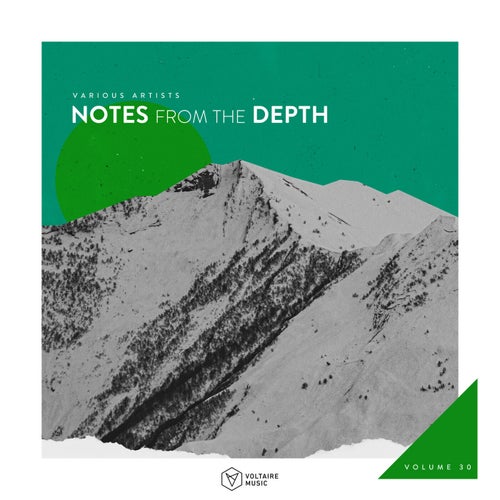 VA – Notes From The Depth Vol. 30 [Voltaire Music]