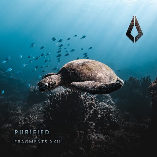 VA – Purified Fragments XXIII PF0176BP