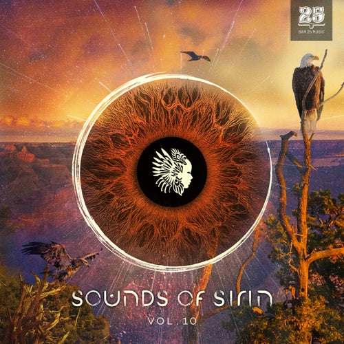 VA – Bar 25 Music Presents Sounds of Sirin Vol.10 BAR25215