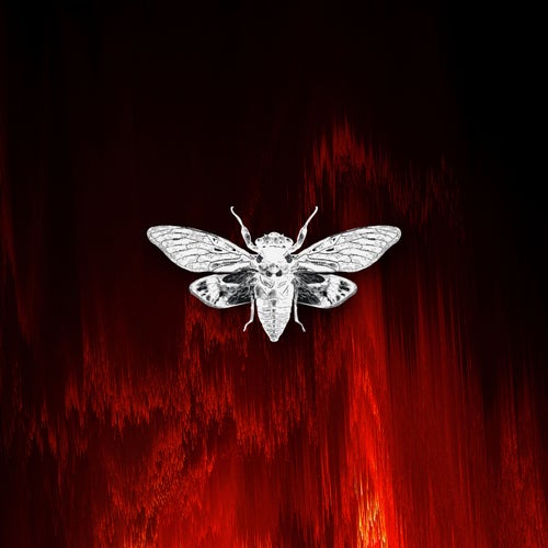 VA – Distorted Reality Vol. III [Ciccada]