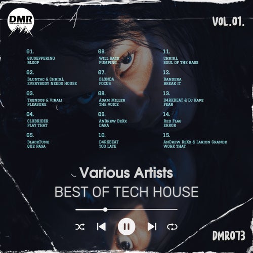 VA – BEST OF TECH HOUSE, Vol. 1. [Dark Mountain Recordings]
