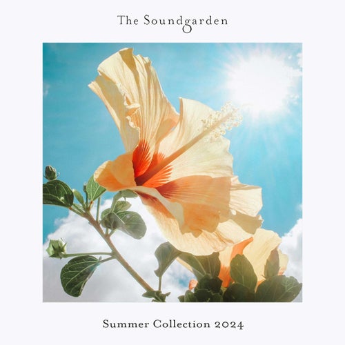 VA – Summer Collection 2024 SG118