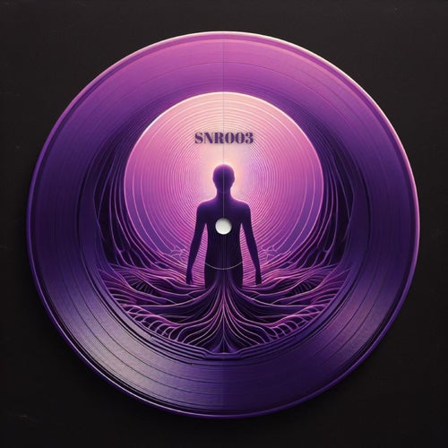 VA – Various Artists Synerythm Records SNR003