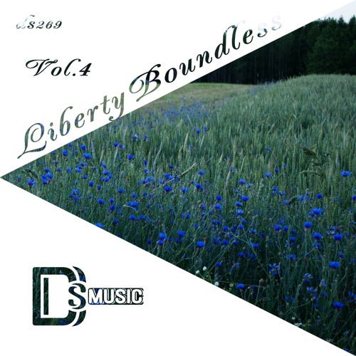 VA – Liberty Boundless, Vol. 4 [Different Styles Music]