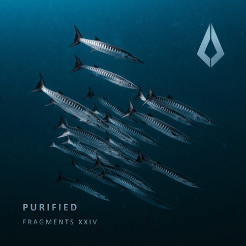 VA – Purified Fragments XXIV PF0177BP