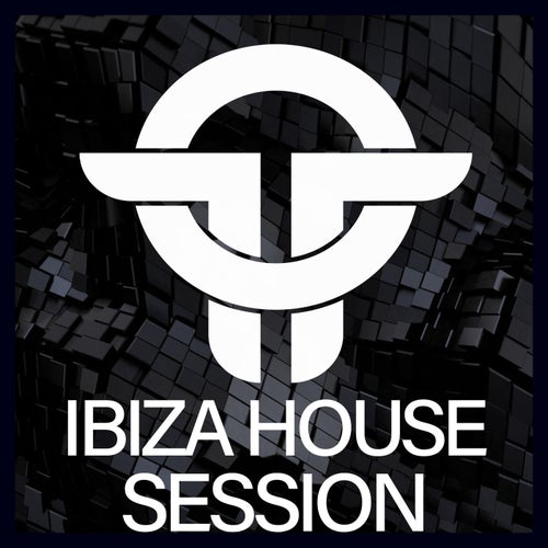 VA – Twists Of Time Ibiza House Session [Twists Of Time]