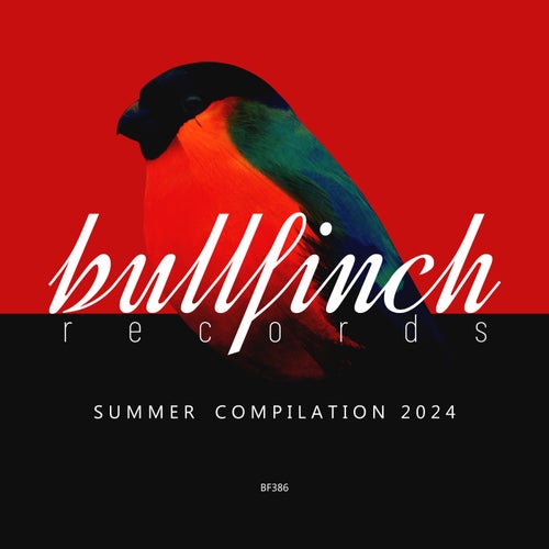 VA – Bullfinch Summer 2024 Compilation BF386