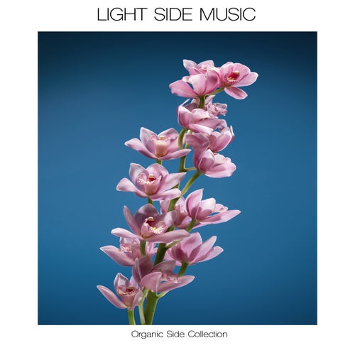 VA – Organic Side Collection [LSM65]
