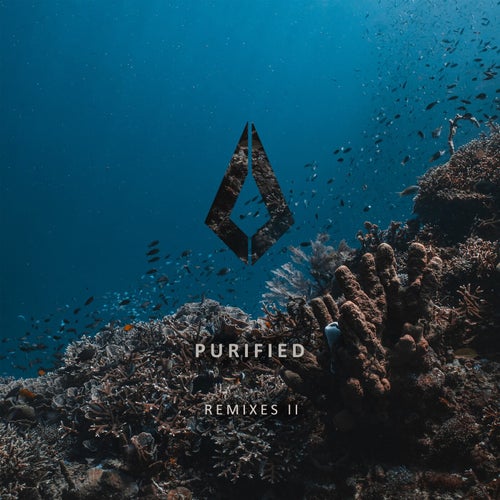 VA – Purified Remixes II PF0179BP