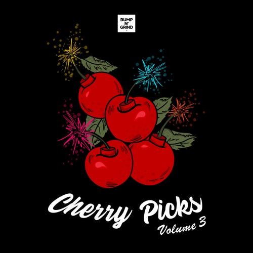 VA – Cherry Picks Volume 3 BNG088