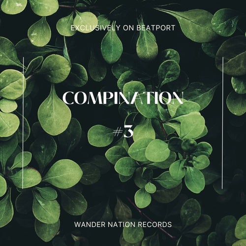 VA – Compination #3 [WNR038]