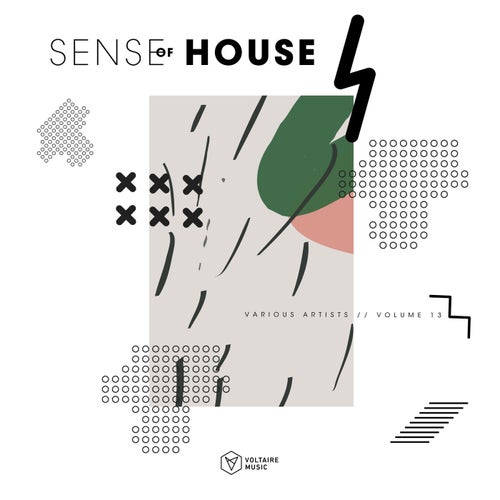 VA – Sense Of House Issue 13 [Voltaire Music]
