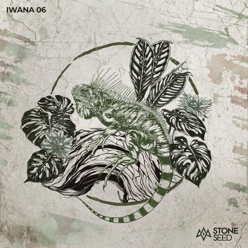 VA – IWANA 06 SS071