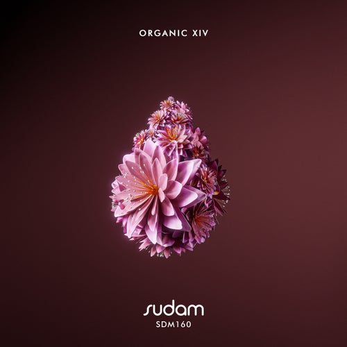 VA – Organic XIV SDM160