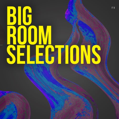 VA – Big Room Selections [Format V]