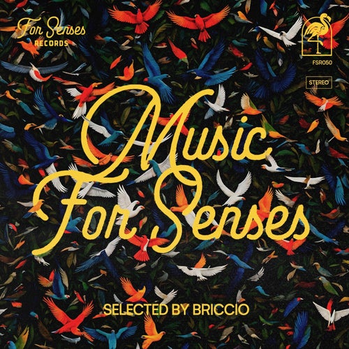 VA – Music for Senses – ADE 2024 Compiled by BRICCIO FSR050