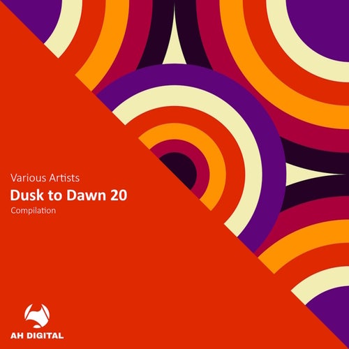 VA – Dusk to Dawn 20 AHD433