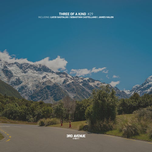 VA – Three of a Kind #029 3AV460