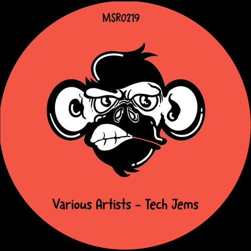 VA – Tech Jems MSR0219