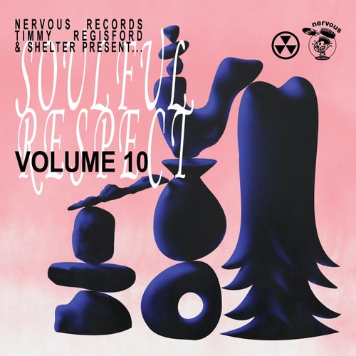 VA – Soulful Respect, Vol. 10 NER26854
