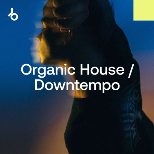 Beatport Amsterdam Dance Event 2024 Organic House