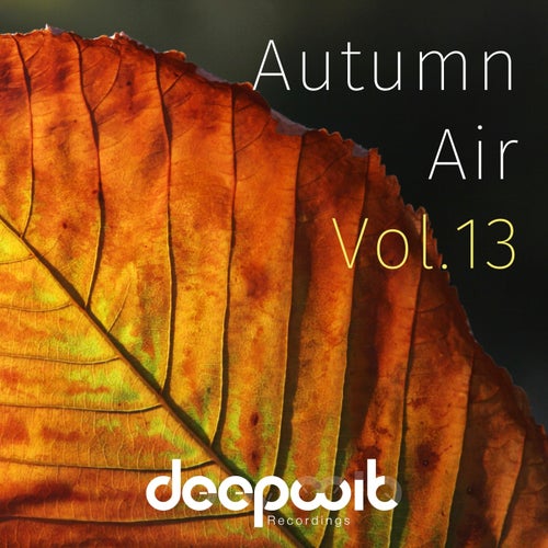 VA – Autumn Air, Vol. 13 DWRS030