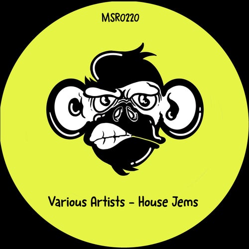 VA –  House Jems [Monkey Stereo Records]