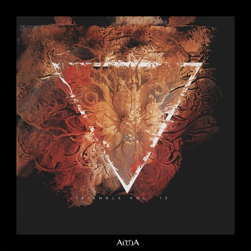 VA – Triangle, Vol. 12 [ALULA264]