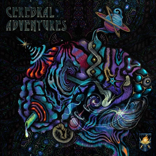 VA –  Cerebral Adventures [Chanakya Records]