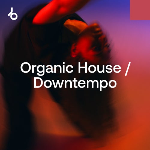 Beatport On Our Radar 2024 Organic House November