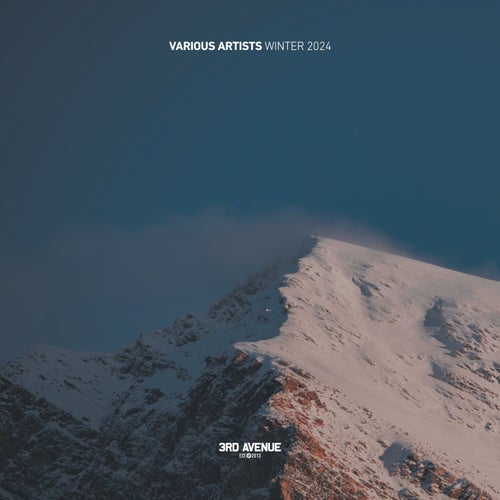 VA – Winter 2024 [3AVLP081]