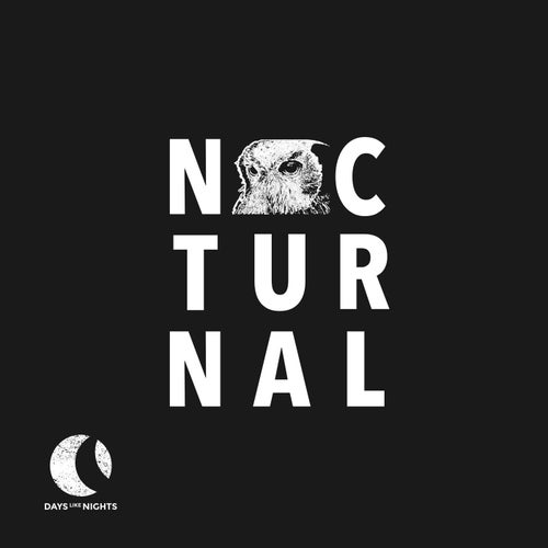 VA – Nocturnal 013 DLNNTN013