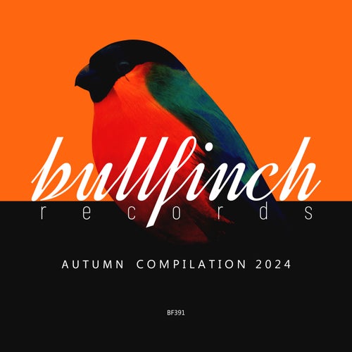VA – Bullfinch Autumn 2024 Compilation [BF391]