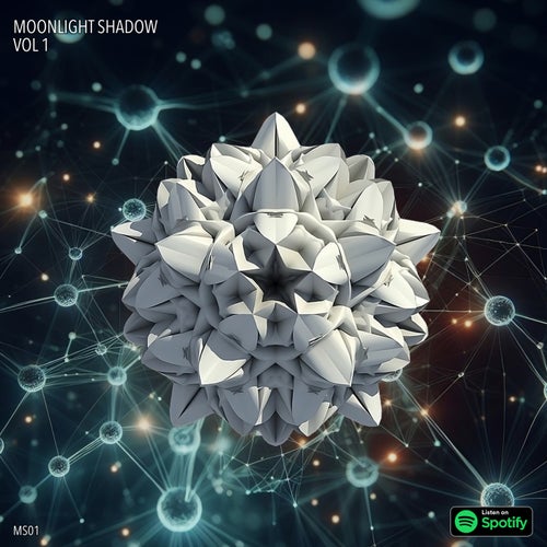 VA – Moonlight Shadow Vol 1 [MS01]