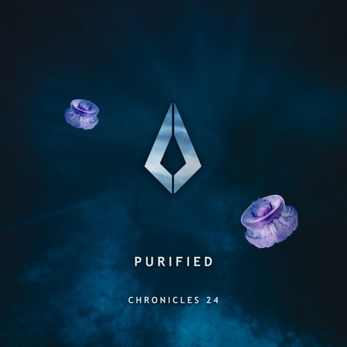 VA – Purified Chronicles 2024 [PF0200BP]