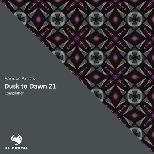 VA – Dusk to Dawn 21 [AHD450]