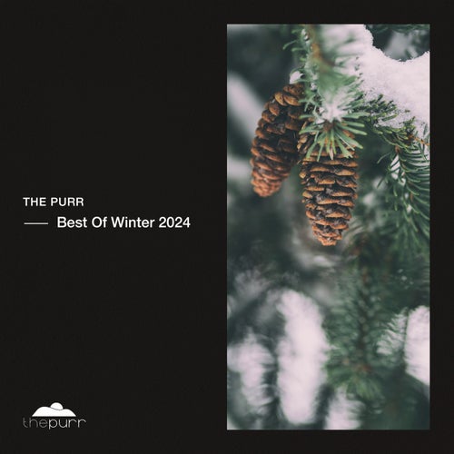 VA – Winter Best Of 2024