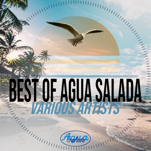 VA – Best of Agua Salada (2024)