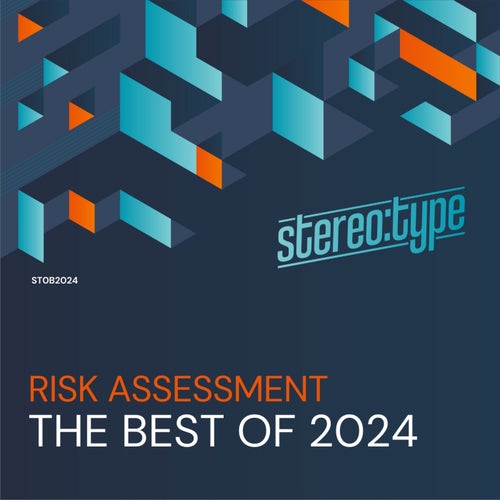 VA – Risk Assessment – The Best Of Stereo_type 2024