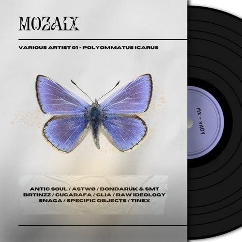 VA – MX – VA01 POLYOMMATUS ICARUS (2025)