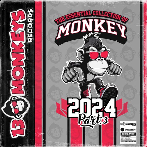 VA – The Essential Collection Of Monkey 2024 – Part.3 [2025]